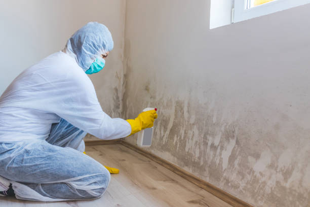 Mold Remediation specialist working in Haddonfield