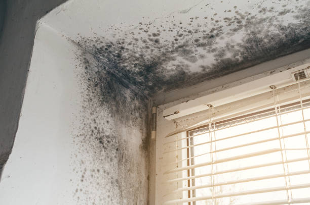 Clearance testing in Haddonfield